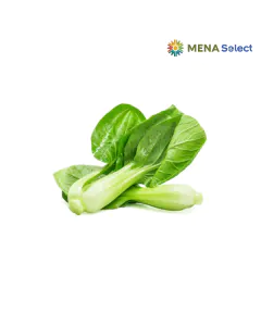 6719